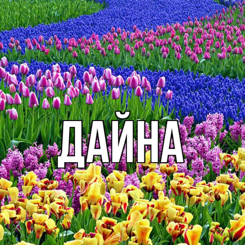 Картинка  с именем , Дайна