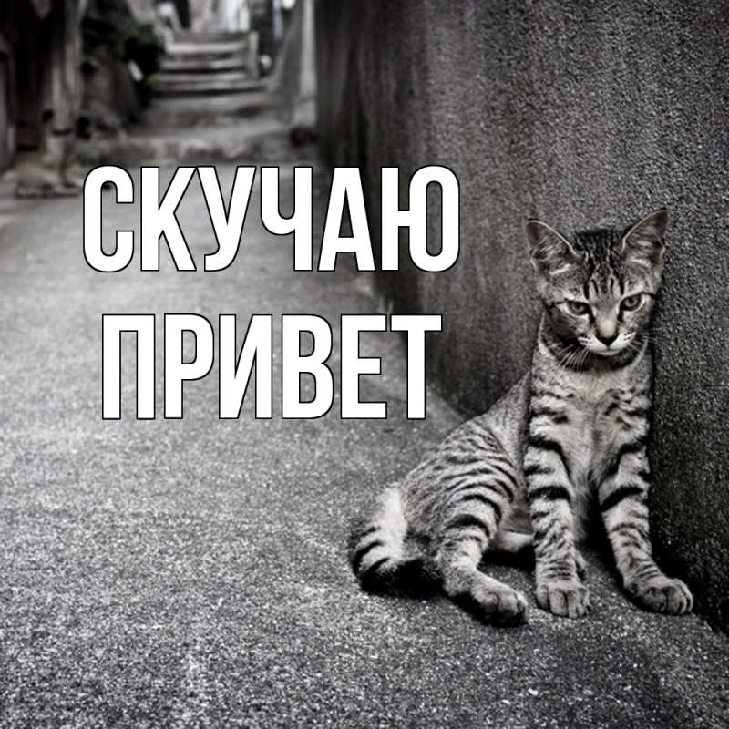 Картинка Скучаю, Привет