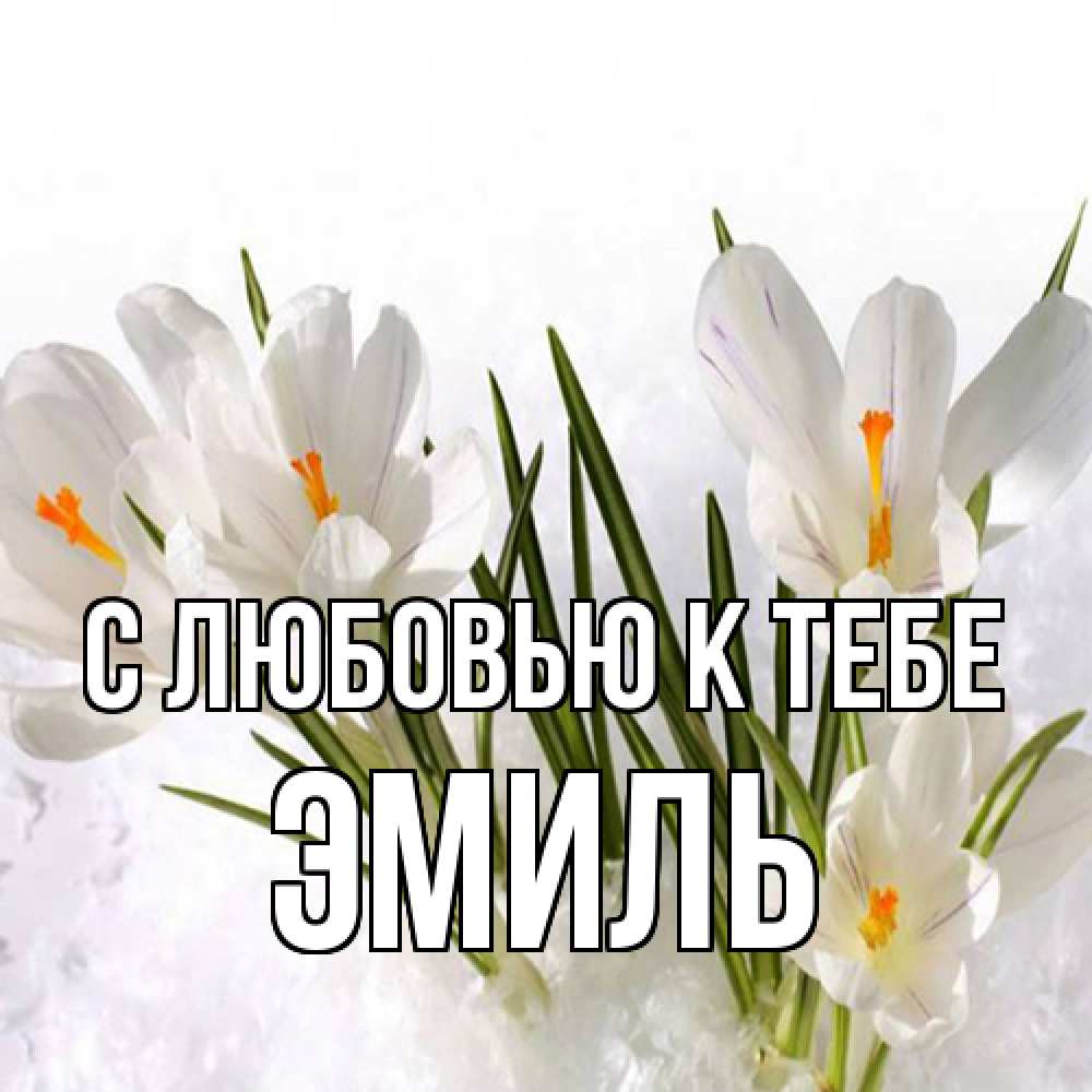 Открытка  с именем. Эмиль, С любовью к тебе  