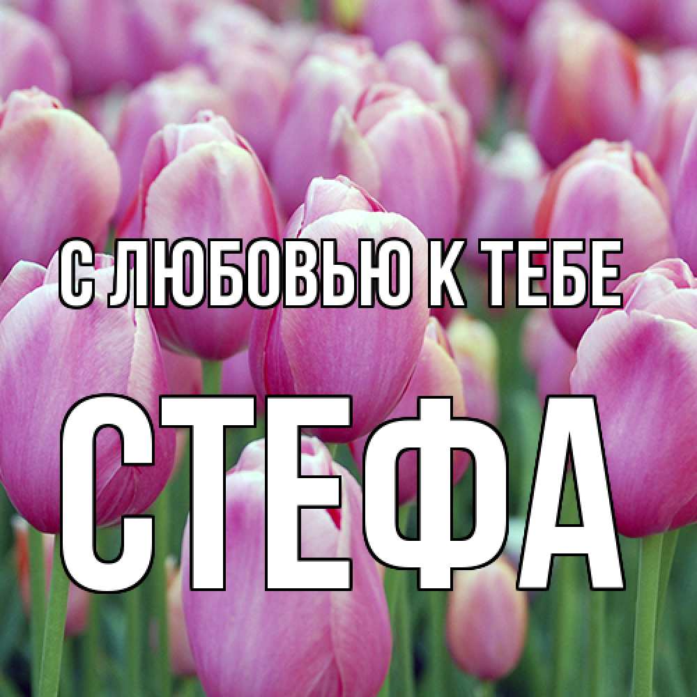 Открытка  с именем. стефа, С любовью к тебе  