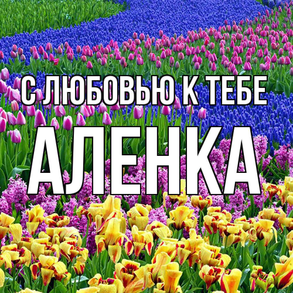 Открытка  с именем. аленка, С любовью к тебе  