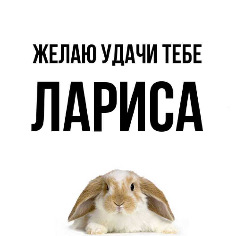 Картинка Желаю удачи тебе, Лариса
