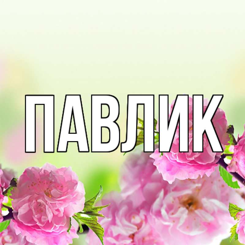 Картинка  с именем , Павлик