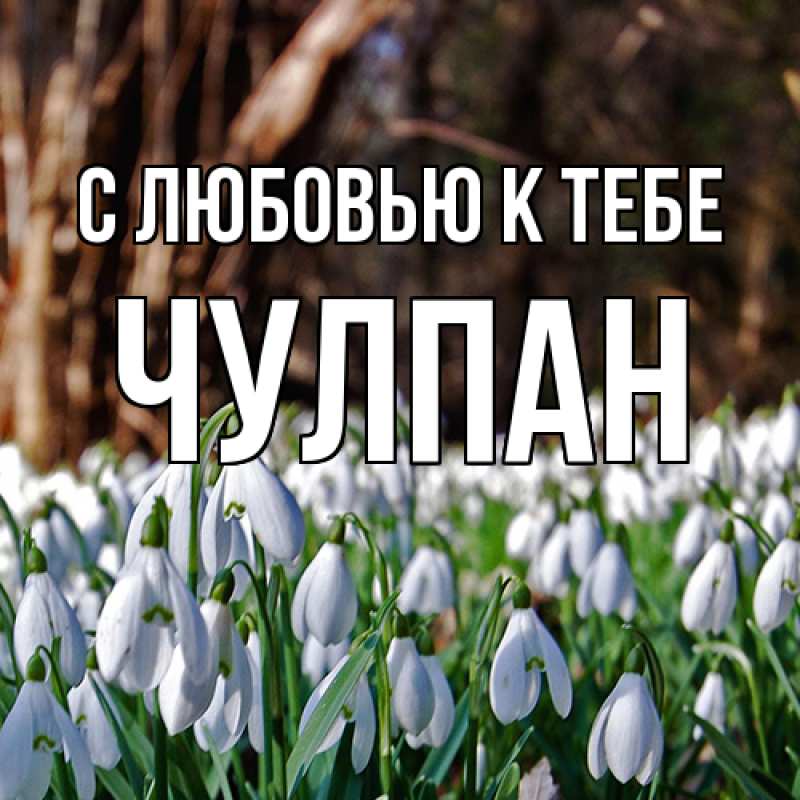 Картинка С любовью к тебе, Чулпан