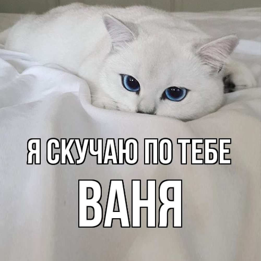 Открытка  с именем. Ваня, Я скучаю по тебе  