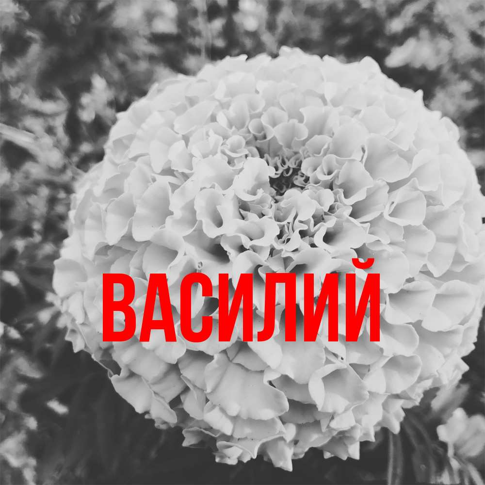 Открытка  с именем. Василий, Главная  