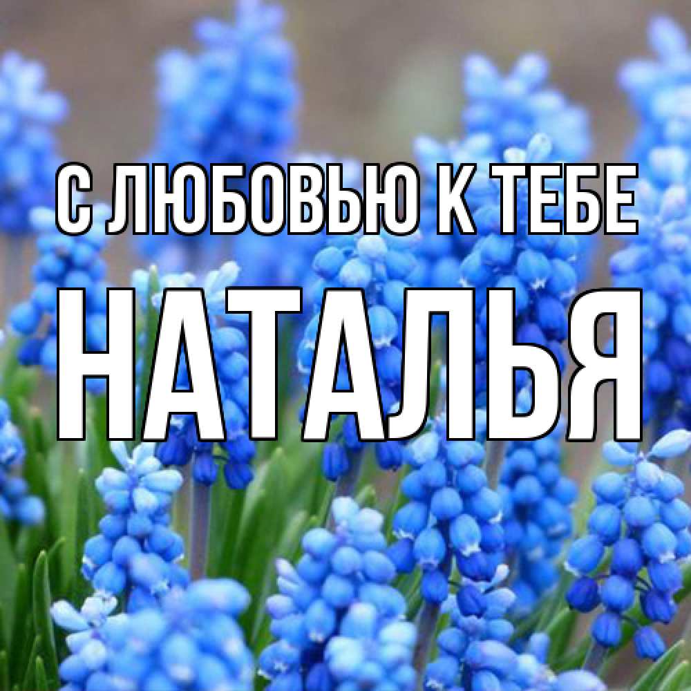 Открытка  с именем. Наталья, С любовью к тебе  