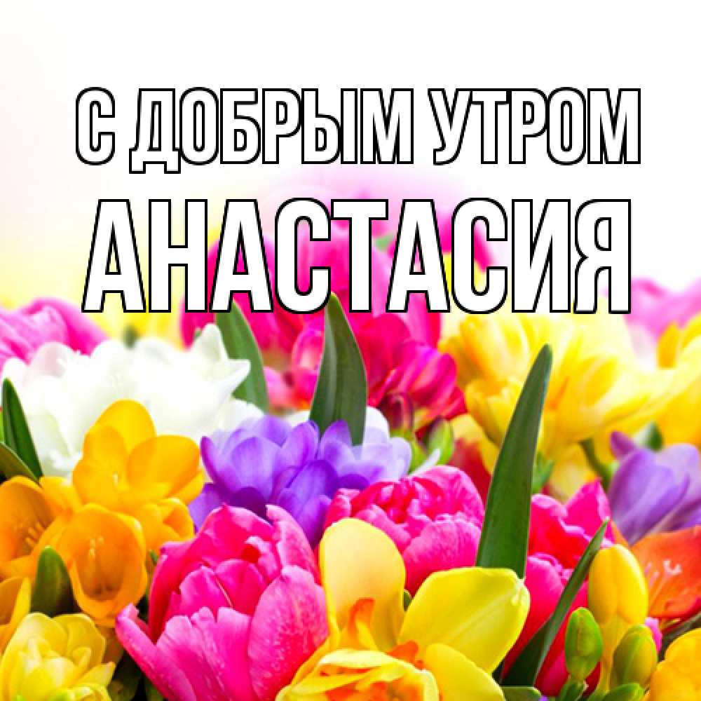 Открытка  с именем. Анастасия, С добрым утром  