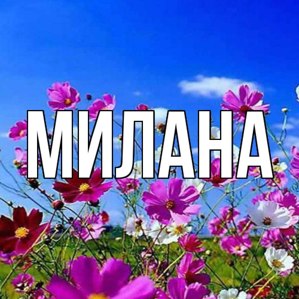 Открытка  с именем. Милана, Главная  