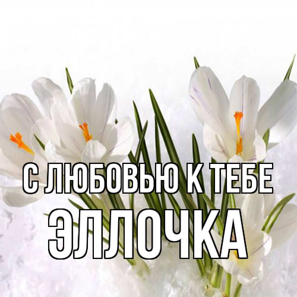 Открытка  с именем. Эллочка, С любовью к тебе  