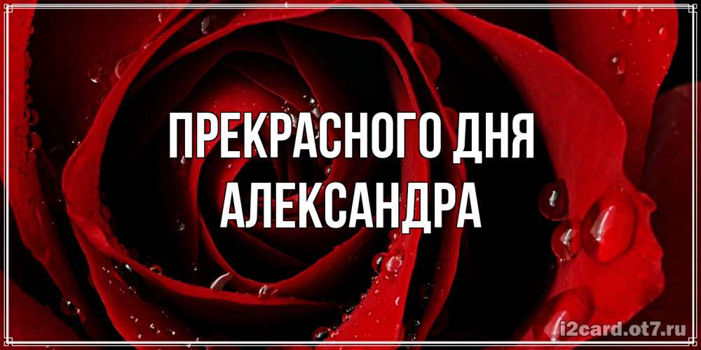 Открытка  с именем. Александра, Прекрасного дня  