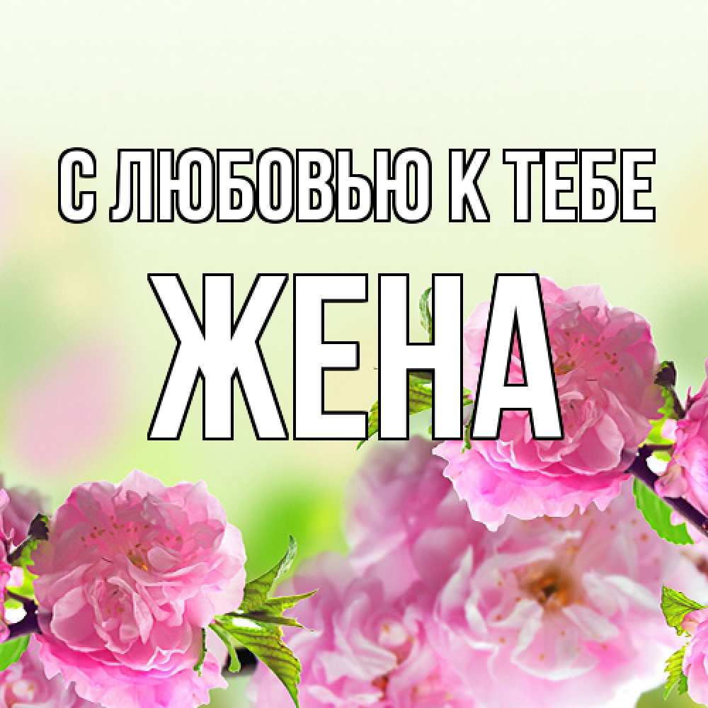 Открытка  с именем. Жена, С любовью к тебе  