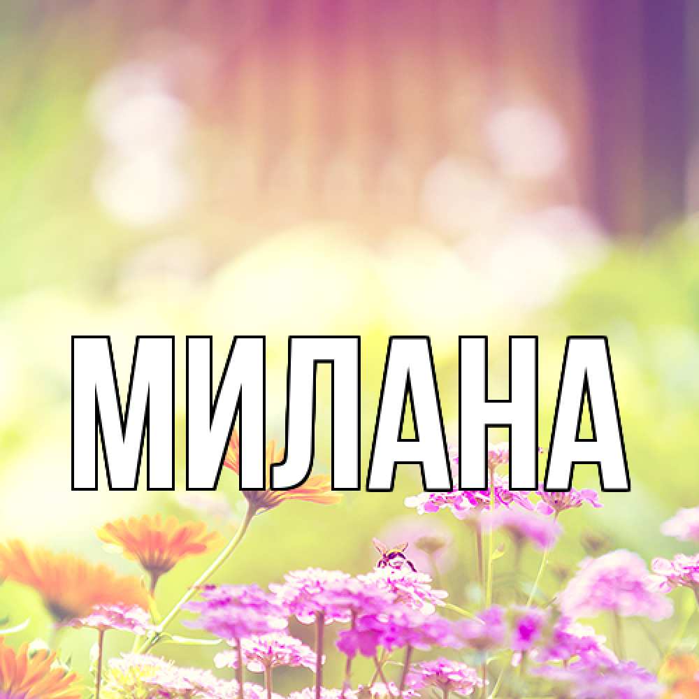 Открытка  с именем. Милана, Главная  
