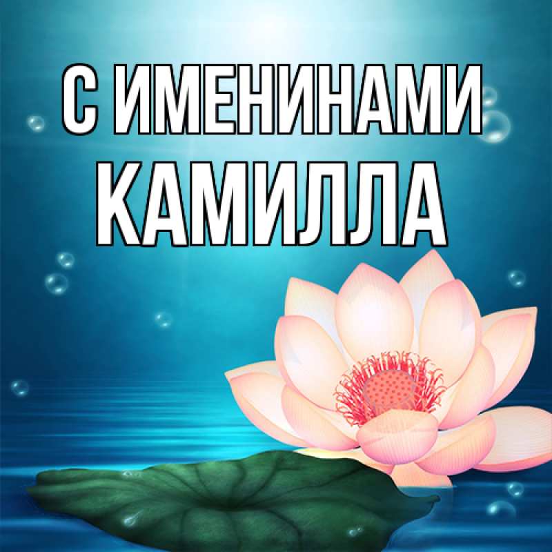 Картинка С именинами, Камилла
