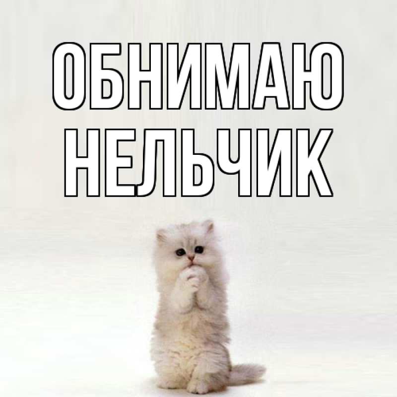 Картинка Обнимаю, Нельчик