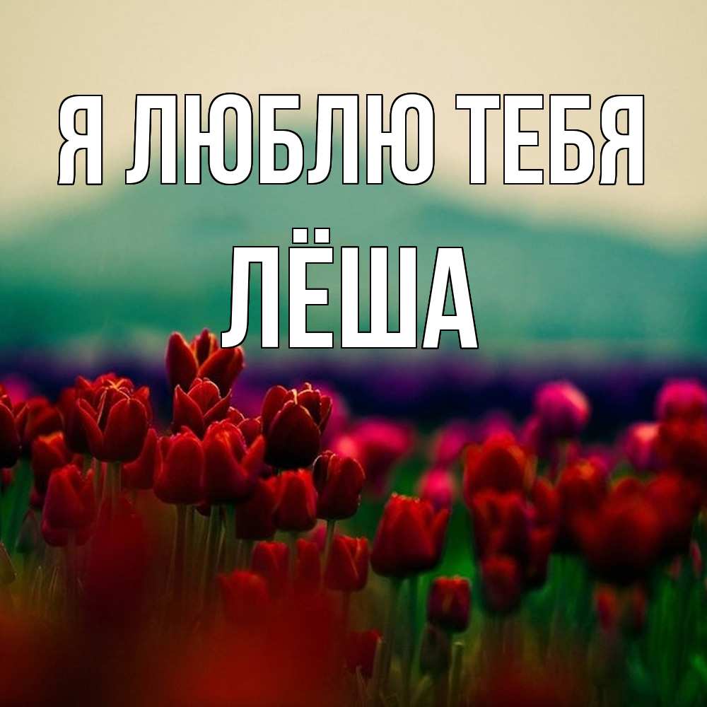 Открытка  с именем. Лёша, Я люблю тебя  