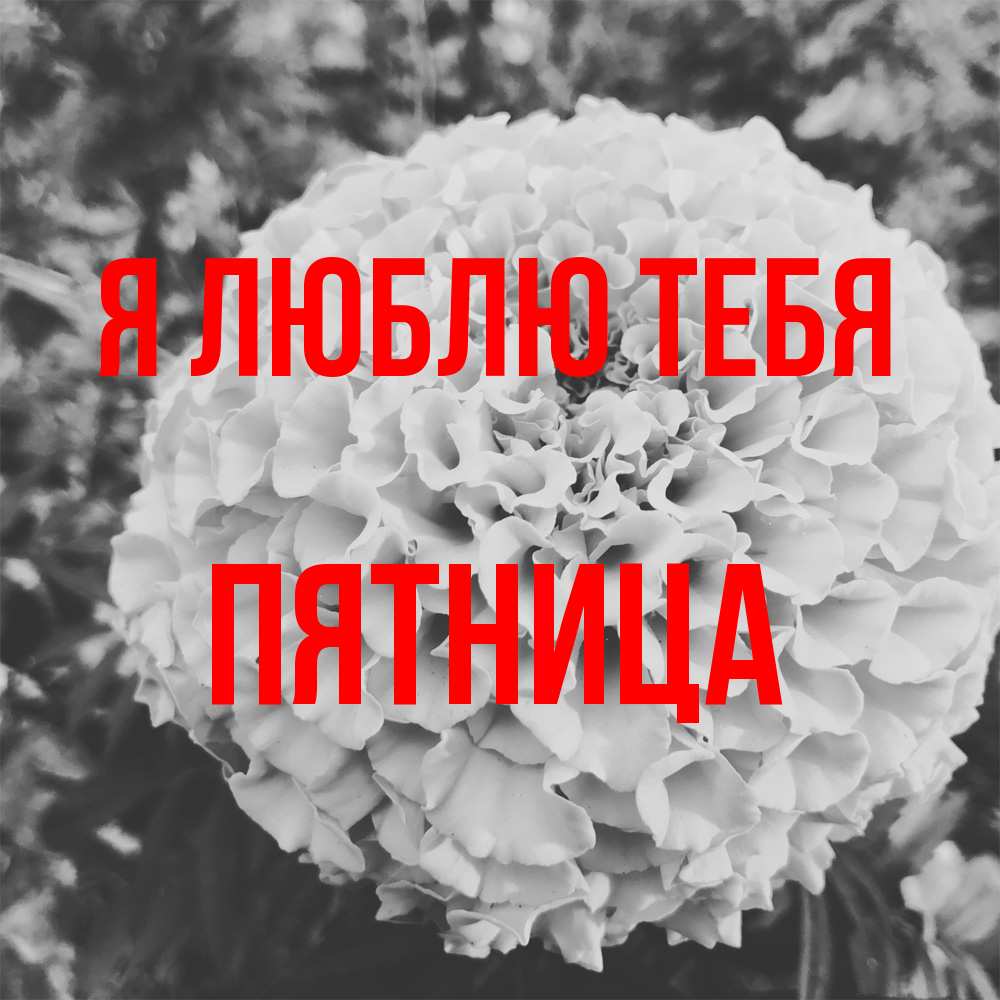 Открытка  с именем. Пятница, Я люблю тебя  