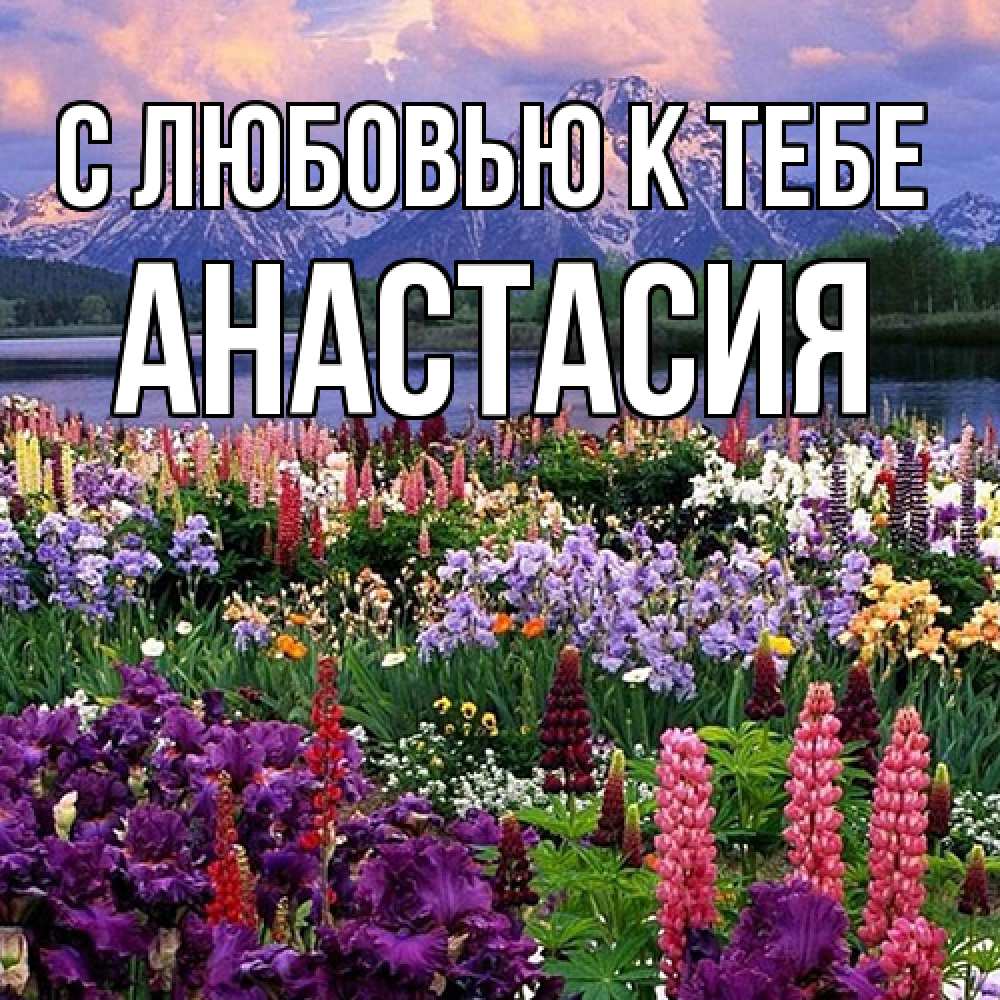 Открытка  с именем. Анастасия, С любовью к тебе  