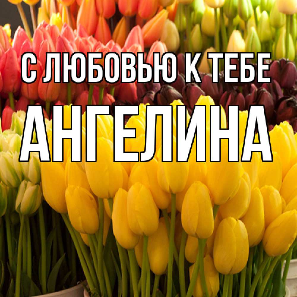 Открытка  с именем. Ангелина, С любовью к тебе  
