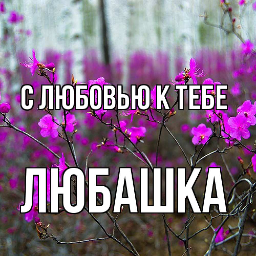 Открытка  с именем. Любашка, С любовью к тебе  