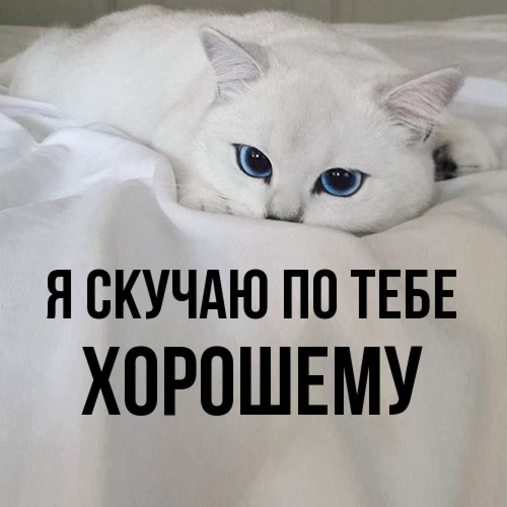 Открытка  с именем. Хорошему, Я скучаю по тебе  