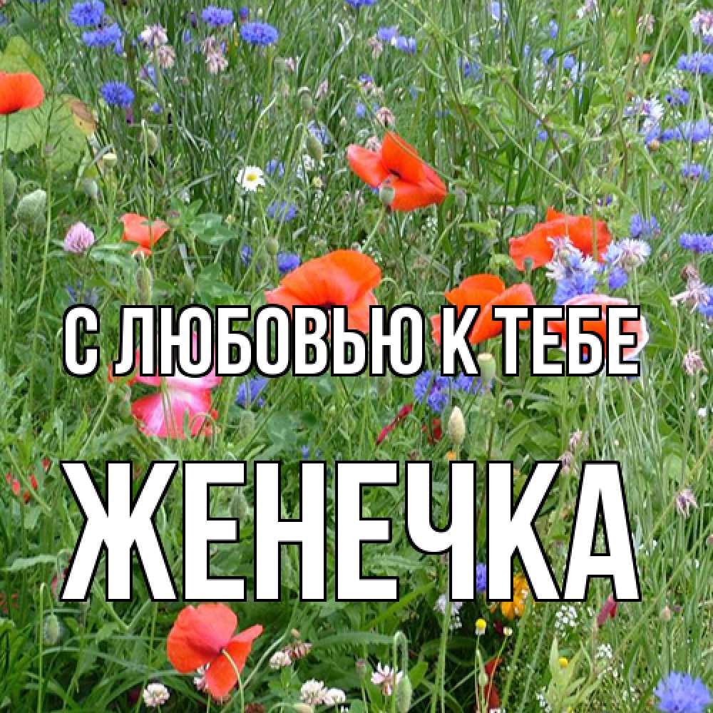 Открытка  с именем. Женечка, С любовью к тебе  