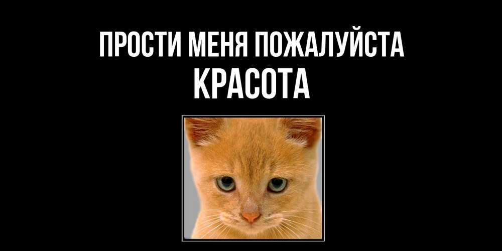 Открытка  с именем. Красота, Прости меня пожалуйста  