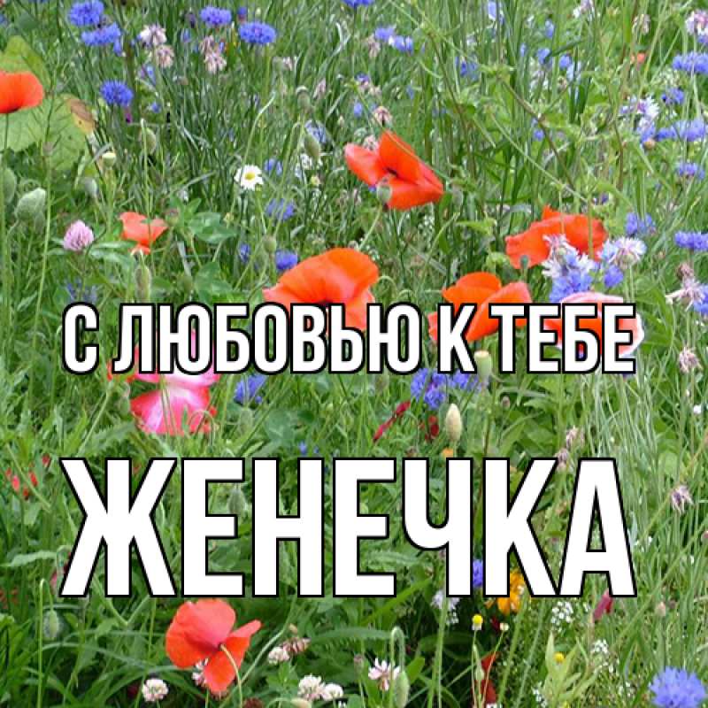 Картинка С любовью к тебе, Женечка