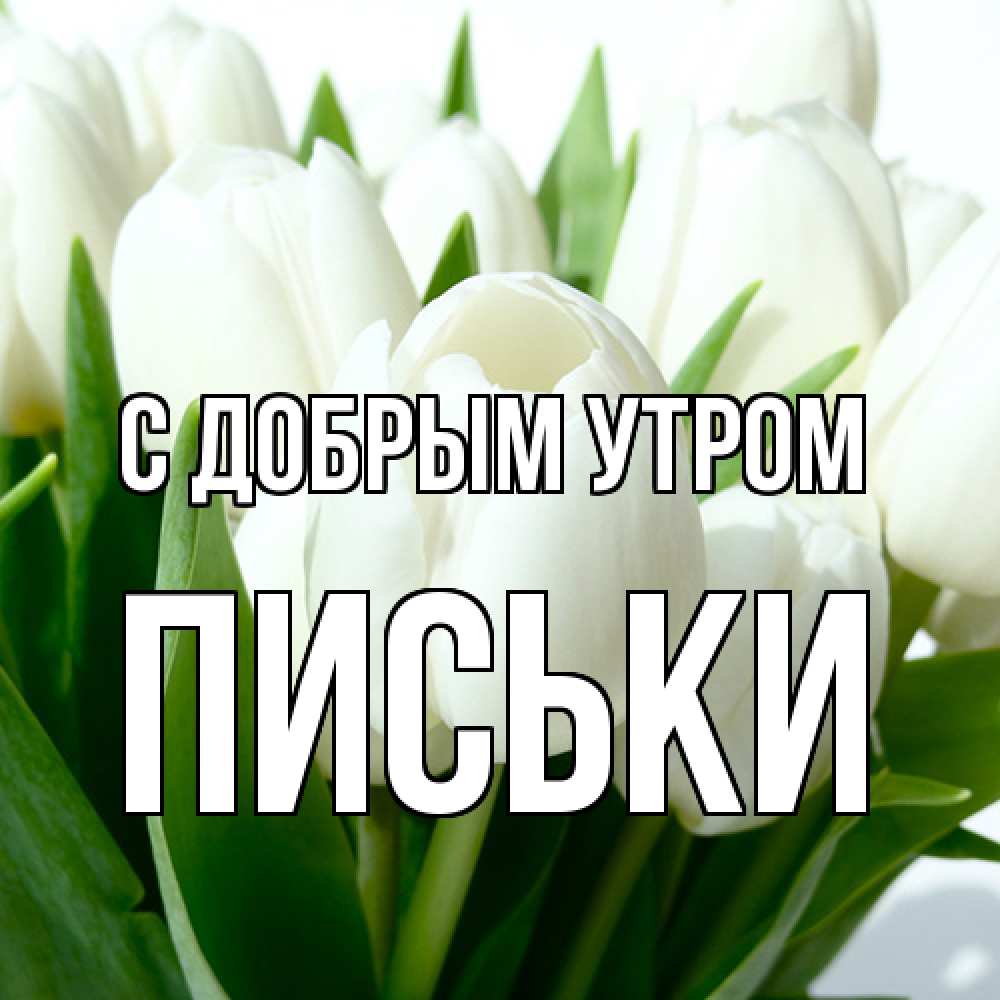 Открытка  с именем. Письки, С добрым утром  