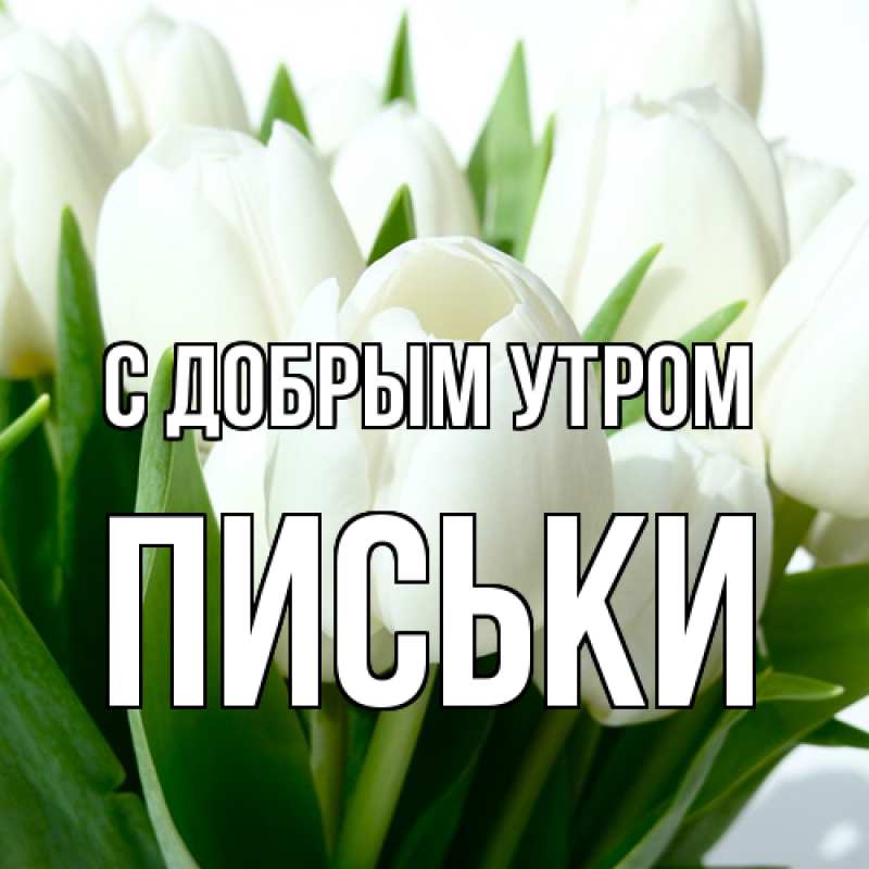 Картинка С добрым утром, Письки