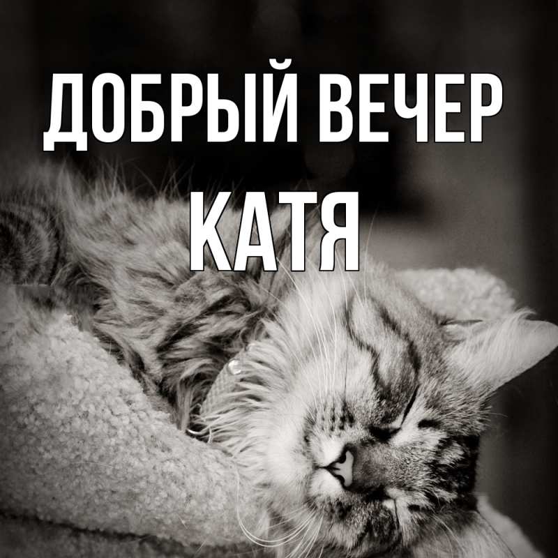 Картинка Добрый вечер, Катя