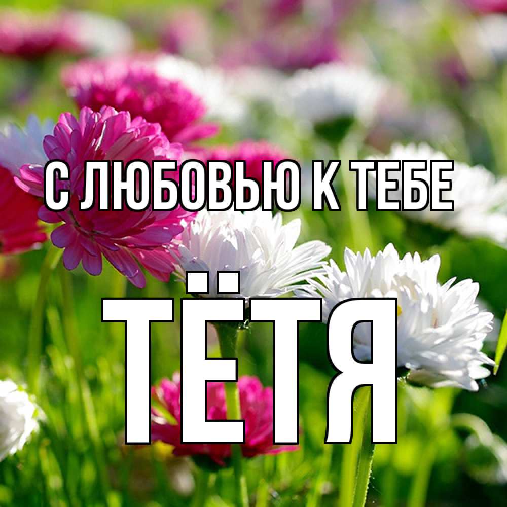 Открытка  с именем. Тётя, С любовью к тебе  