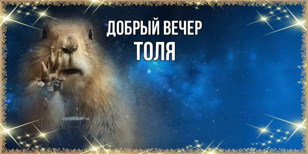 Открытка  с именем. ТОЛЯ, Добрый вечер  