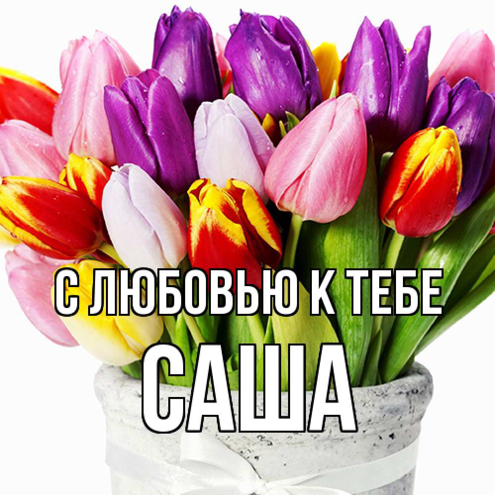 Открытка  с именем. Саша, С любовью к тебе  