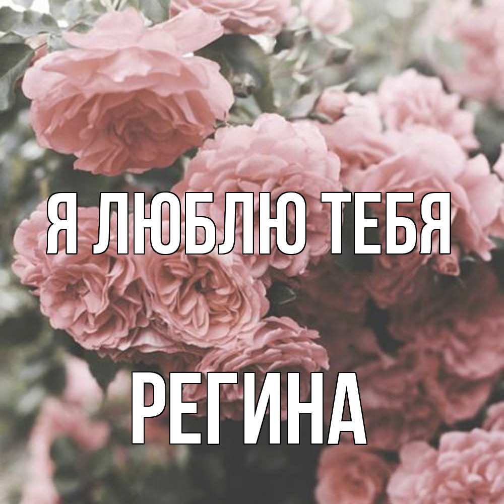 Открытка  с именем. Регина, Я люблю тебя  