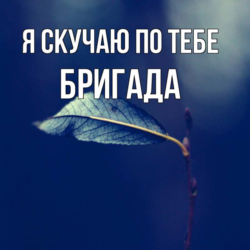 Картинка Я скучаю по тебе, Бригада