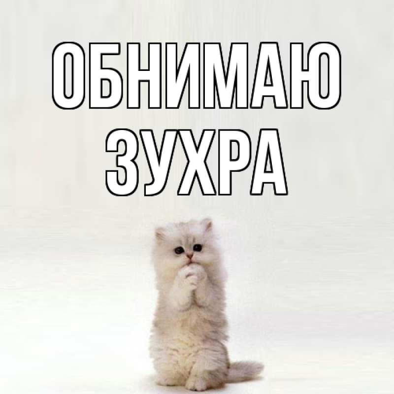 Картинка Обнимаю, Зухра