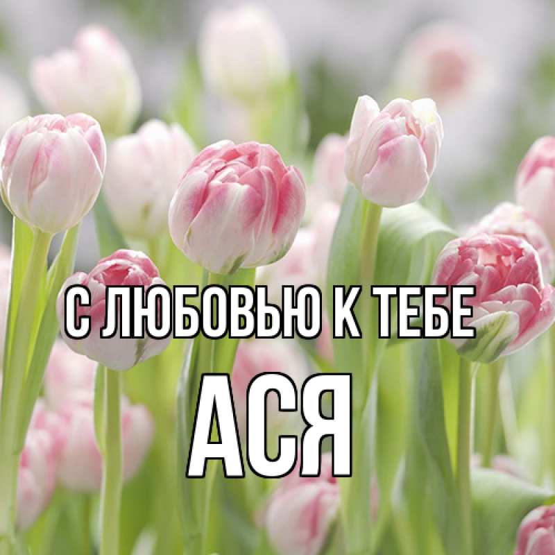 Картинка С любовью к тебе, Ася
