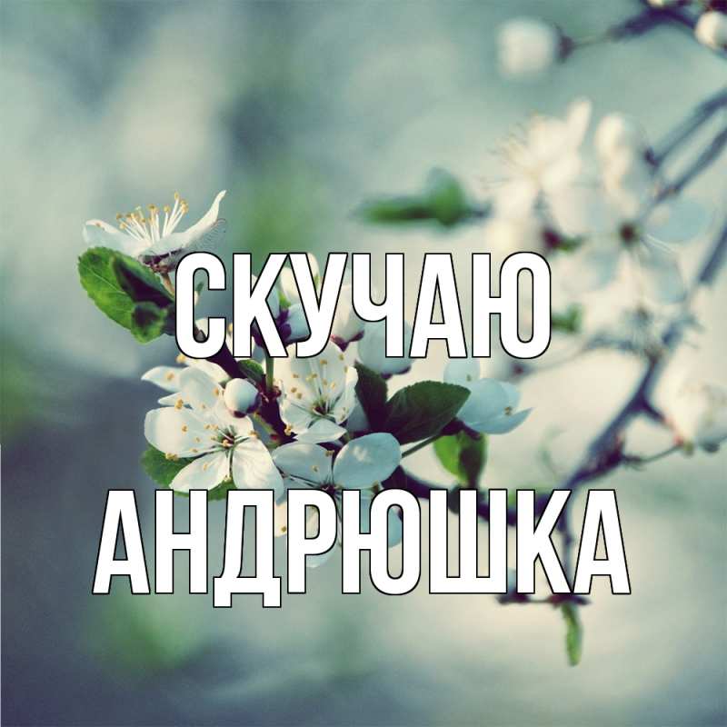 Картинка Скучаю, Андрюшка