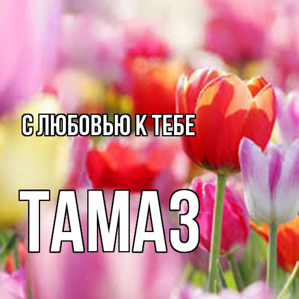 Открытка  с именем. Тамаз, С любовью к тебе  