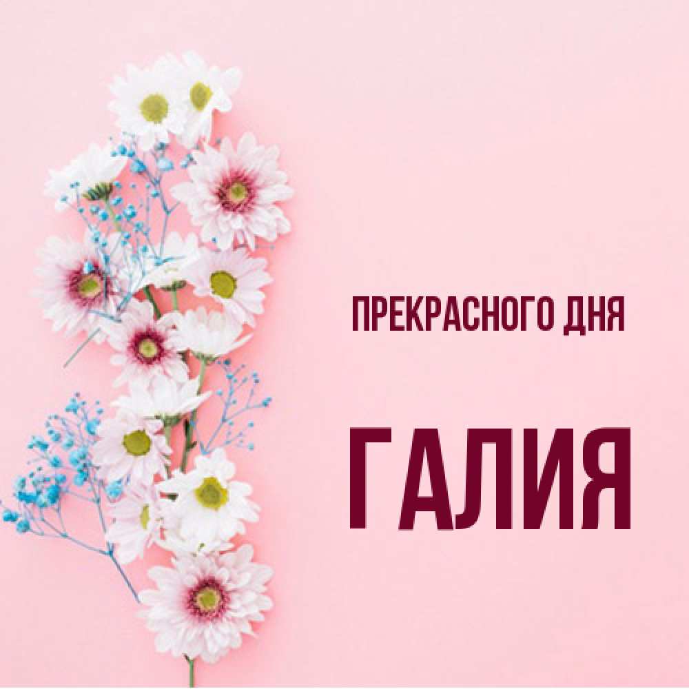 Открытка  с именем. Галия, Прекрасного дня  