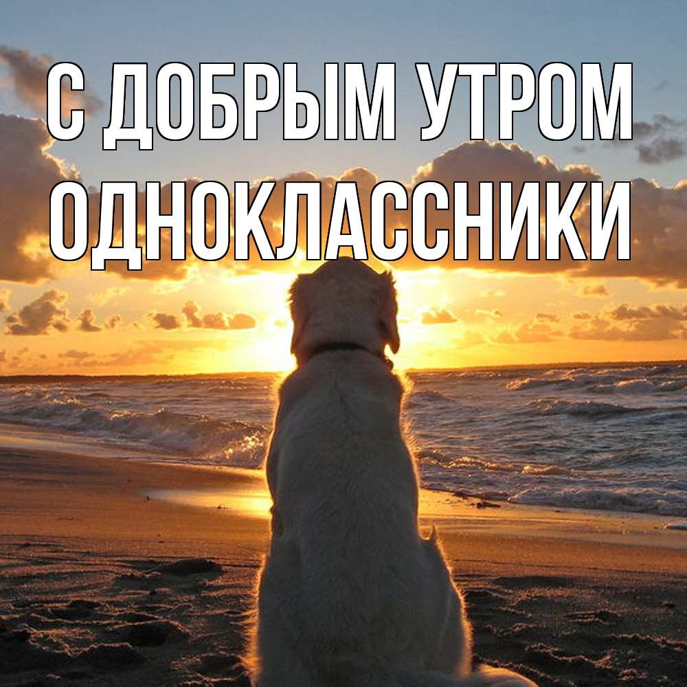 Открытка  с именем. Одноклассники, С добрым утром  