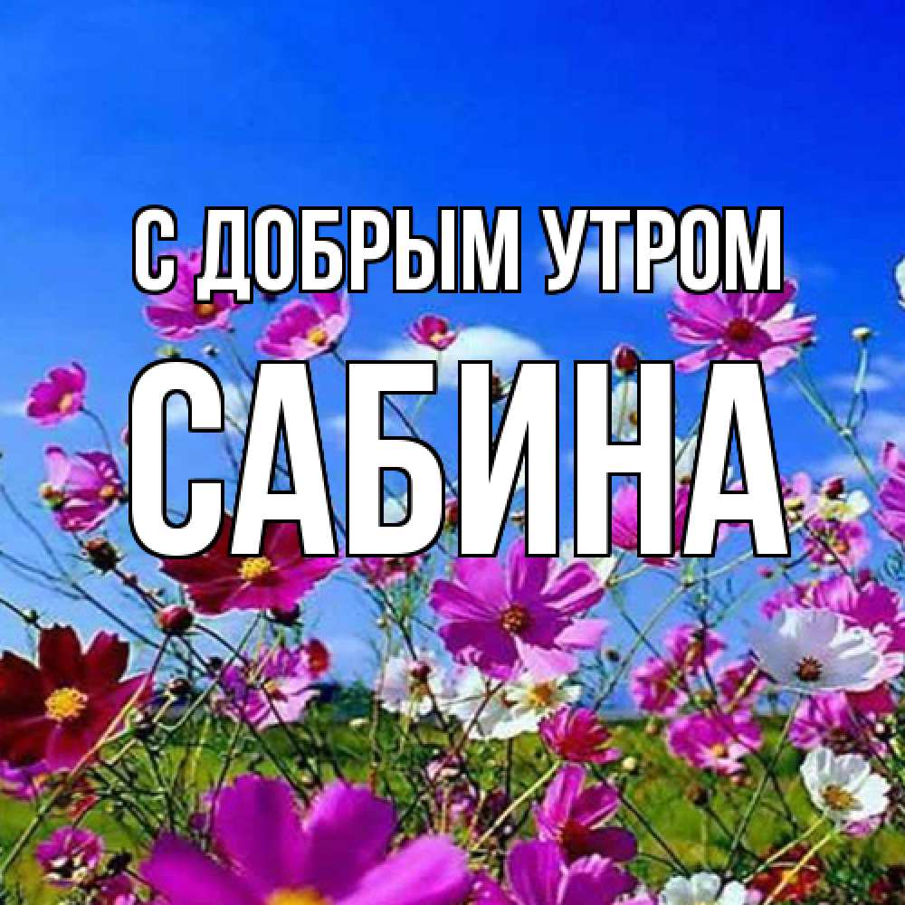 Открытка  с именем. сабина, С добрым утром  