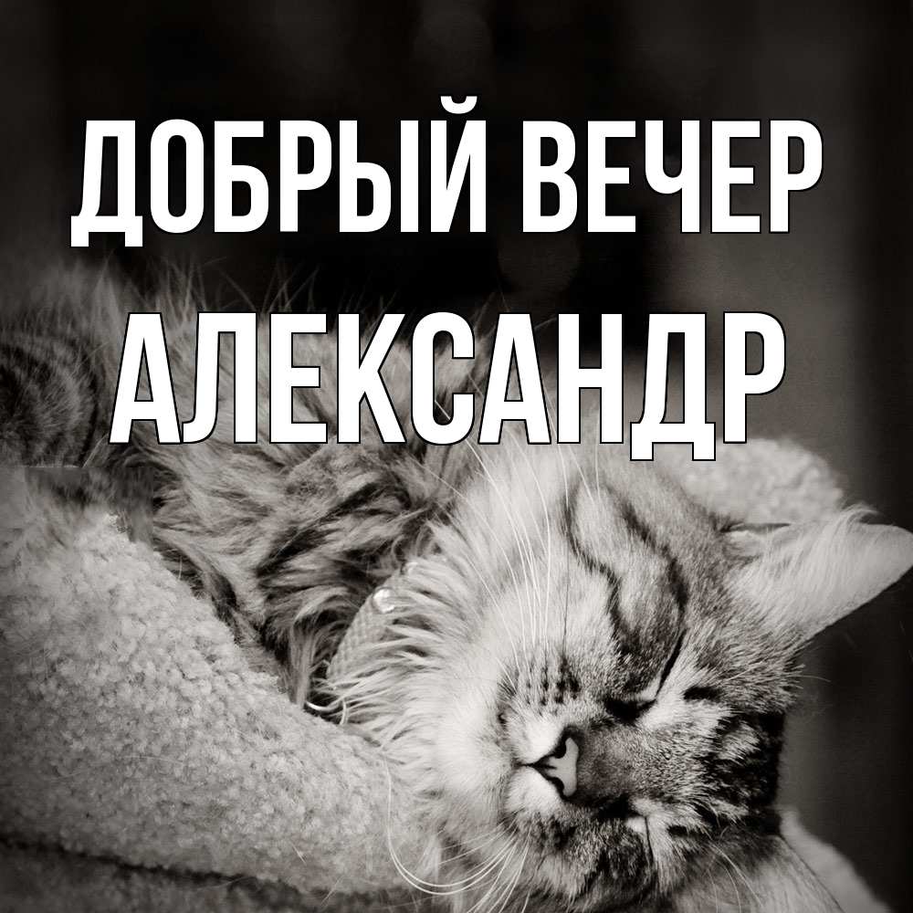 Открытка  с именем. александр, Добрый вечер  