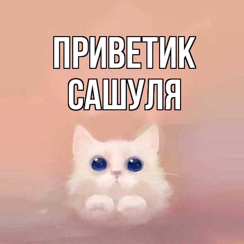 Открытка  с именем. Сашуля, приветик  