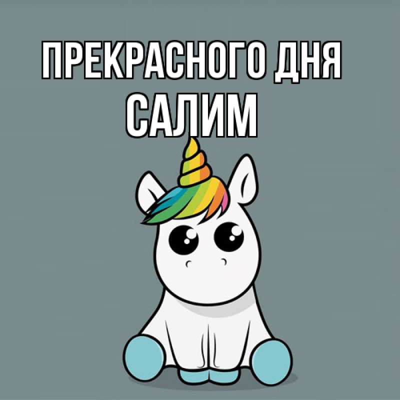 Картинка Прекрасного дня, Салим