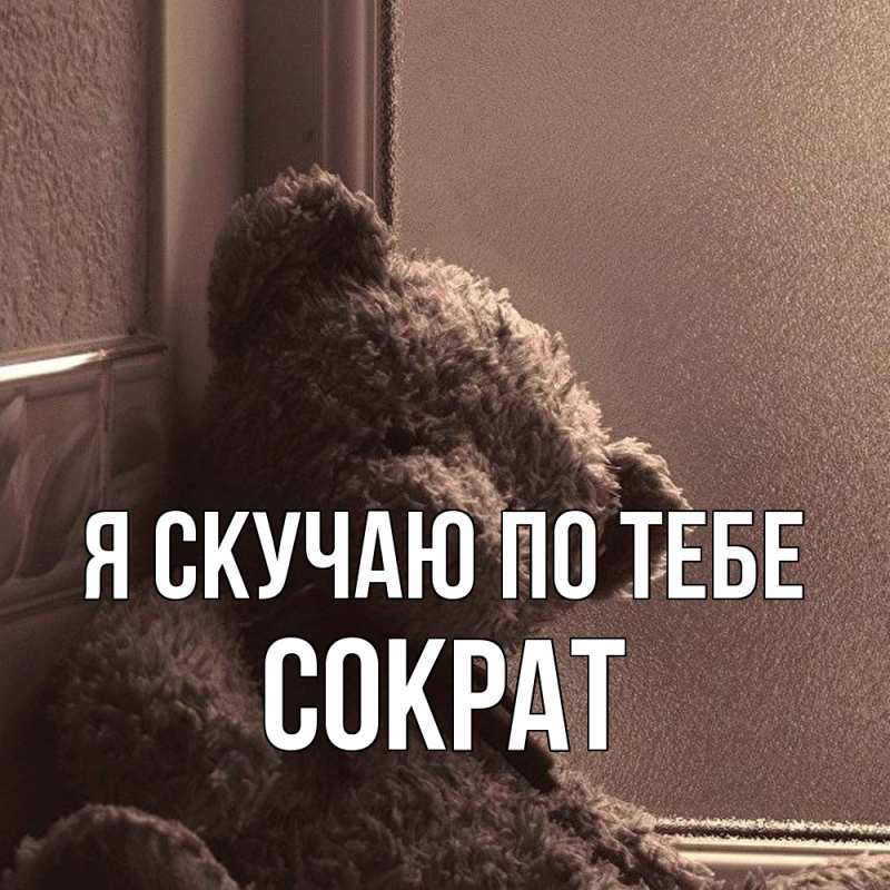 Картинка Я скучаю по тебе, Сократ