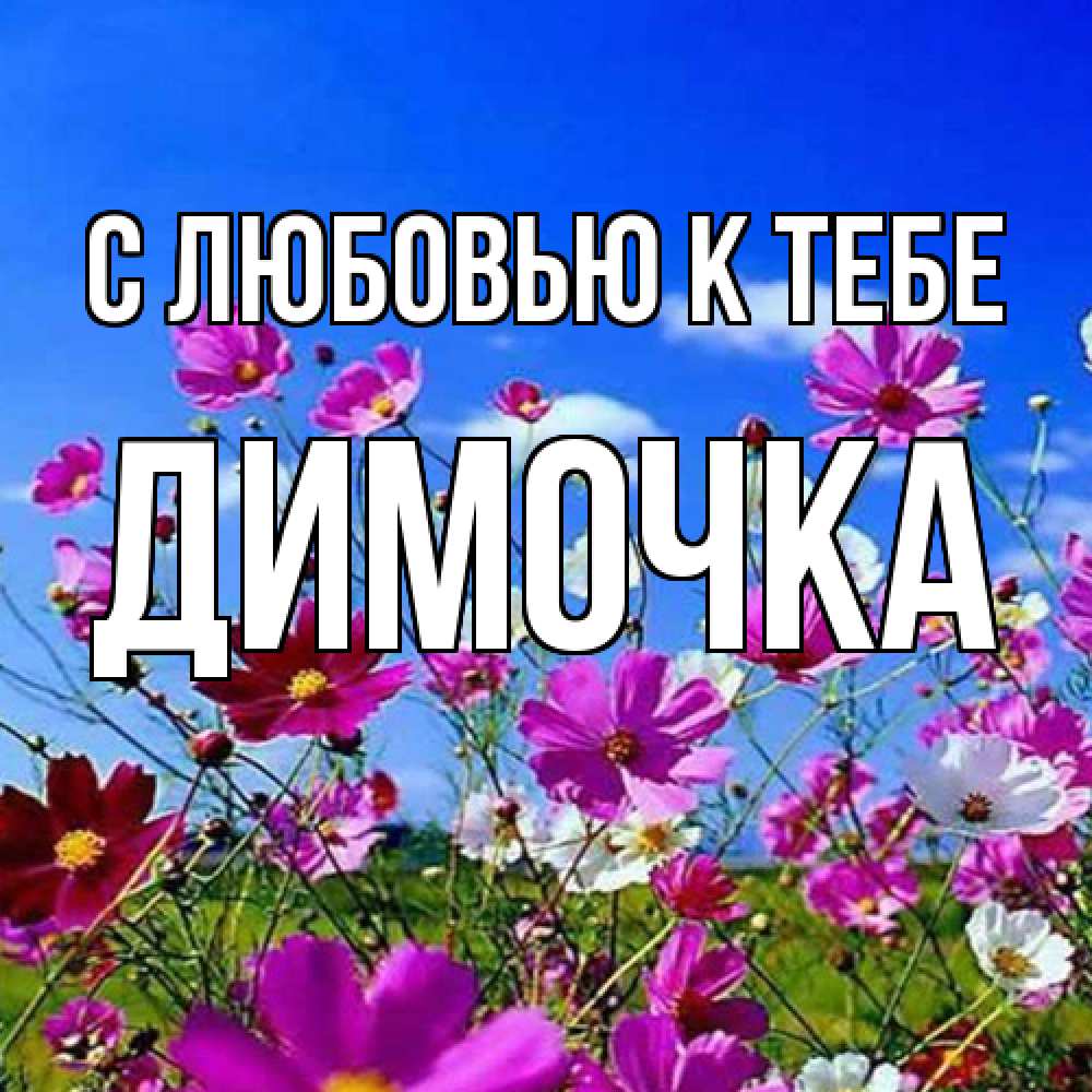 Открытка  с именем. Димочка, С любовью к тебе  