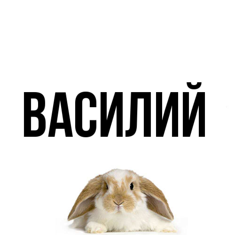 Открытка  с именем. Василий, Главная  