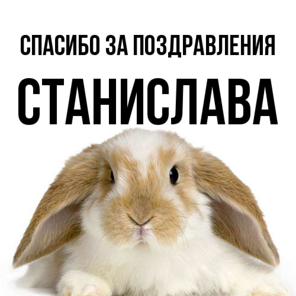 Открытка  с именем. Станислава, Спасибо за поздравления  